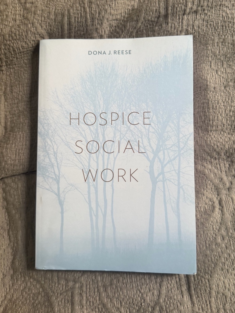 Hospice Social Work by Dona J Reese Paperback Book